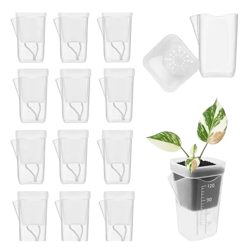 Clear plastic self watering plant pots 5 pack with gray inner reservoir and measurement markings for watering plant use