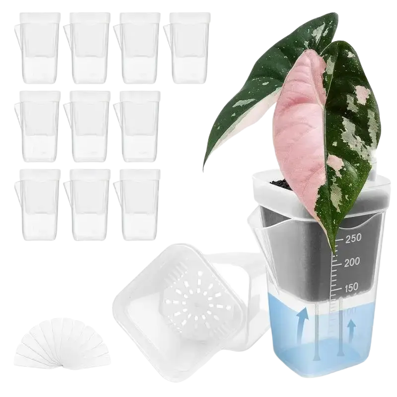 Clear plastic self watering plant pots with measurement markings and white lid with drainage holes for watering plant use