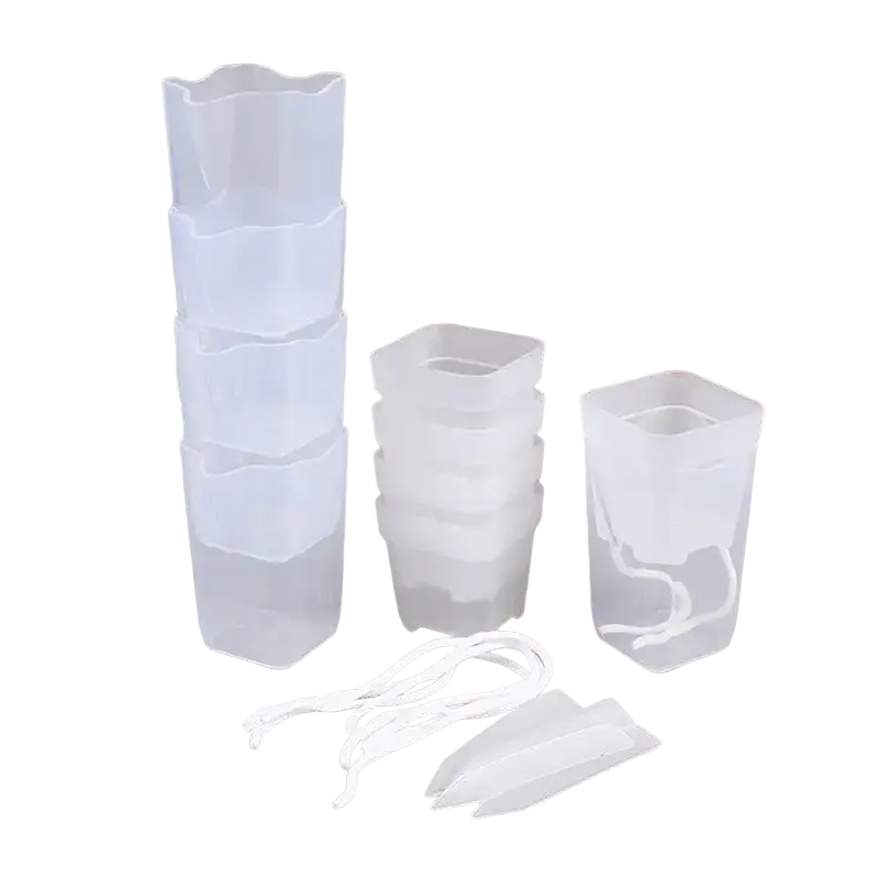 Transparent plastic self watering plant pots with scalloped edges and drainage holes for efficient watering plant use