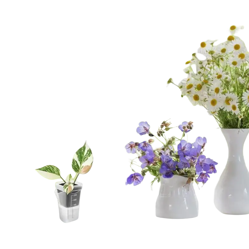 White ceramic vase holding purple flowers alongside transparent self watering plant pots 5 pack for efficient watering plant use