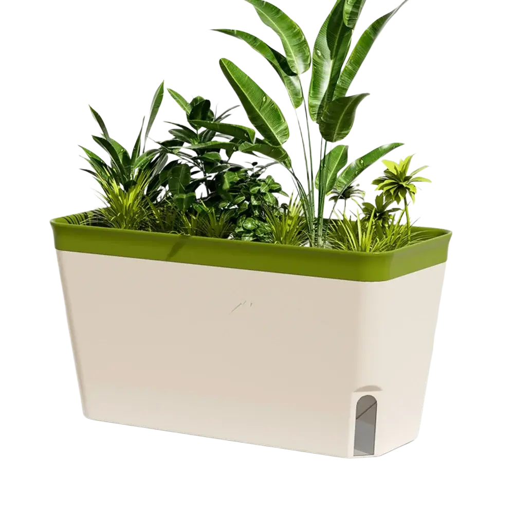 Self watering planter box with water level window cream rectangular body green rim filled with lush indoor plants