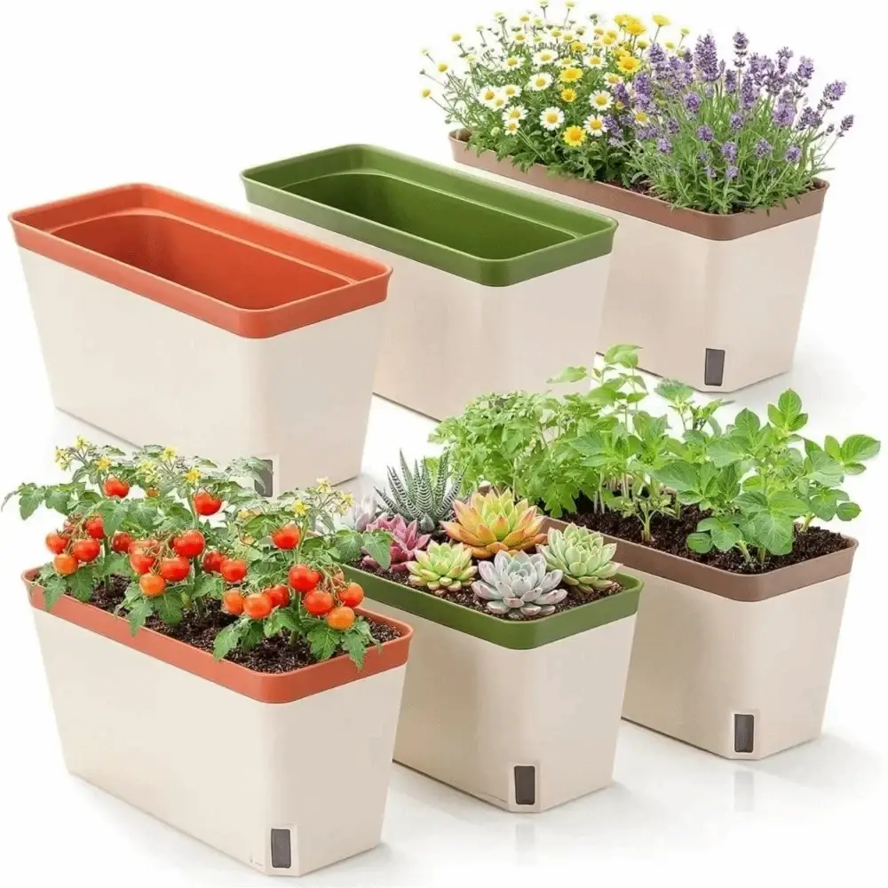 Beige rectangular self watering planter box with orange, green, and brown rim accents and water level window for indoor plants