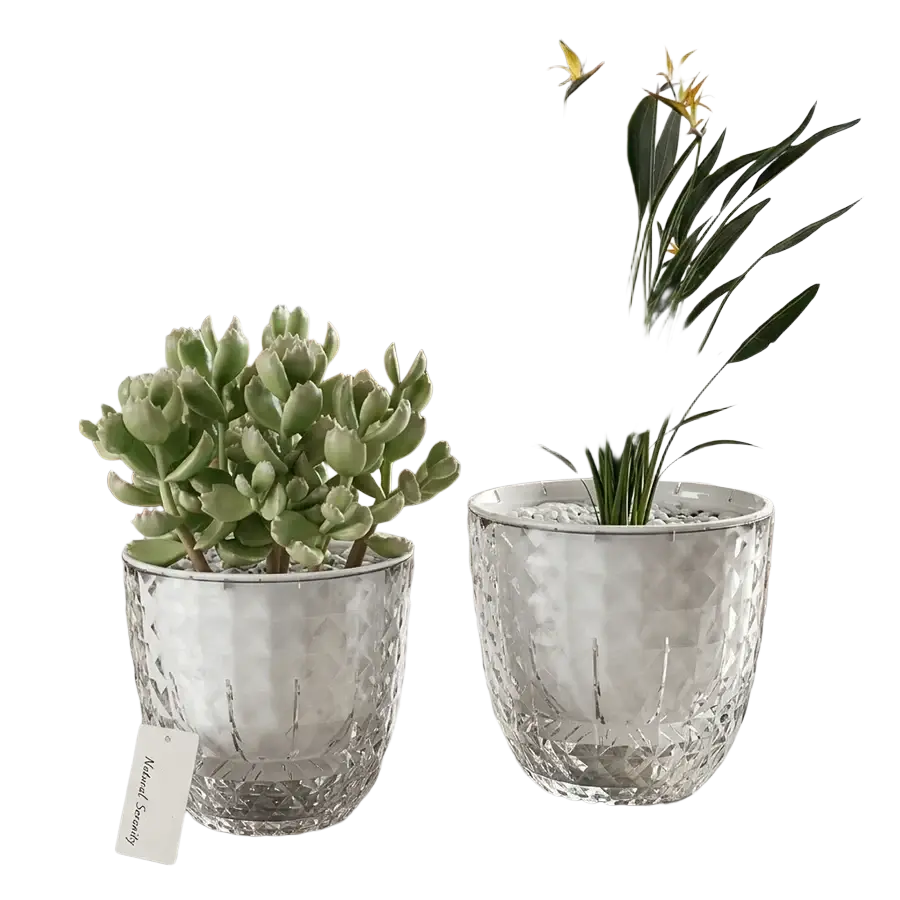 Two clear faceted crystal double layer planters with textured geometric pattern and self watering feature