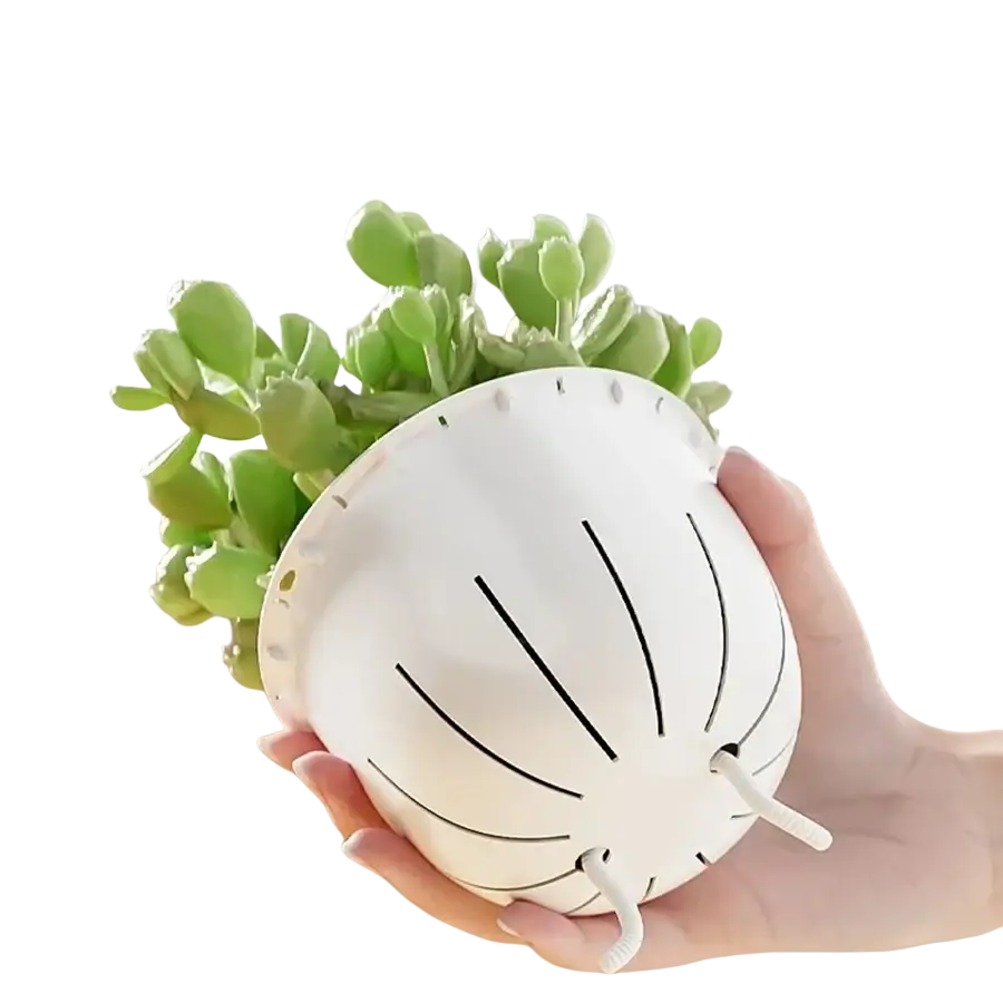 White spherical double layer hanging planter with black radial lines and self-watering feature cotton rope hooks