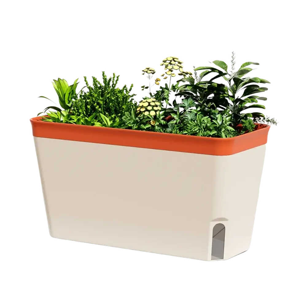Cream-colored rectangular self watering planter with orange rim and water level window filled with indoor plants and yellow blooms