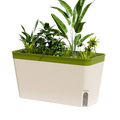 A cream-colored indoor watering planter with green rim and water level window filled with lush green plants