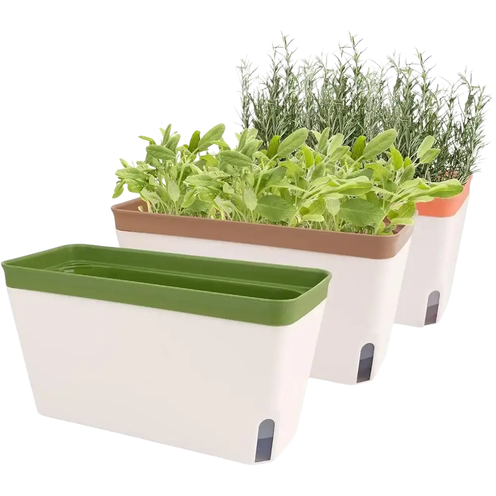 Set of three white plastic self watering planters with water level window and green brown orange rims for indoor plants