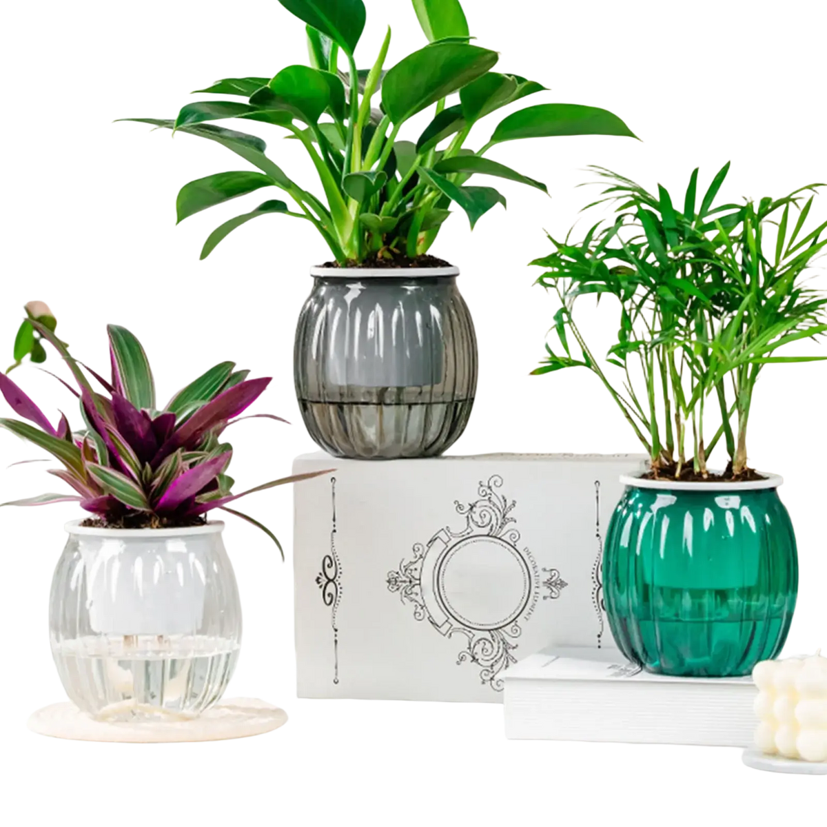 Gray ribbed self-watering planters pots with white rim and dark green foliage for efficient watering planter pots use