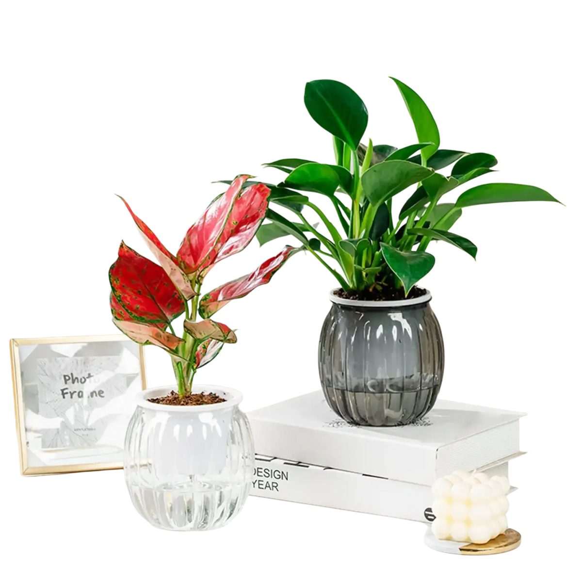 A sleek dark gray ribbed glass self-watering planter pot holding a lush green plant with broad leaves