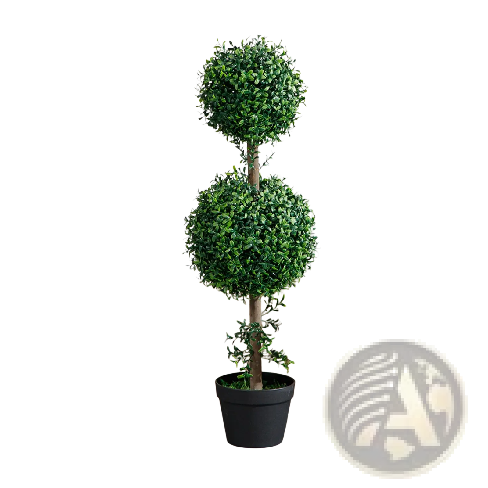 A set of 2 artificial boxwood topiary trees featuring lush dense green foliage in sleek black pots at 36 inch height