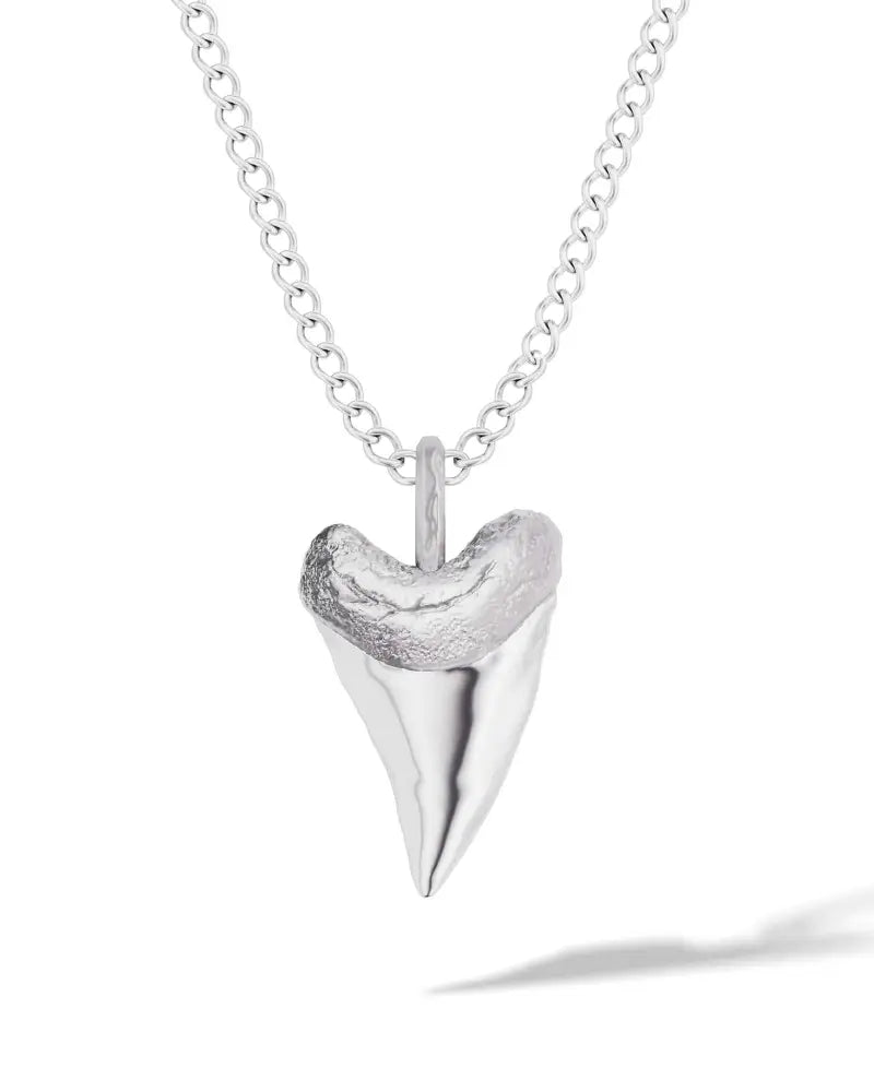 Silver stainless steel shark tooth pendant necklace on a delicate chain showcasing the front side of the pendant