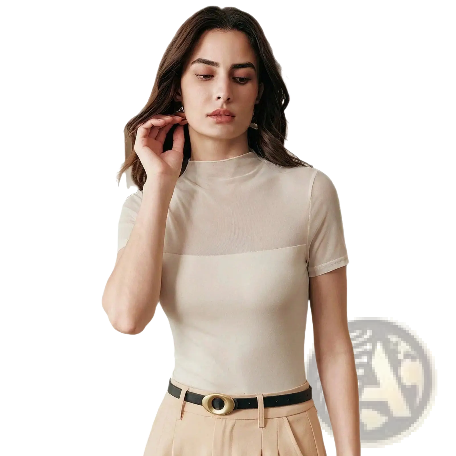 Beige sheer mesh short sleeve top with a high neckline and a mesh panel across the chest