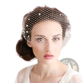 Short pearl beaded mesh bridal veil in white with delicate pearl edges and gold hair comb accessory