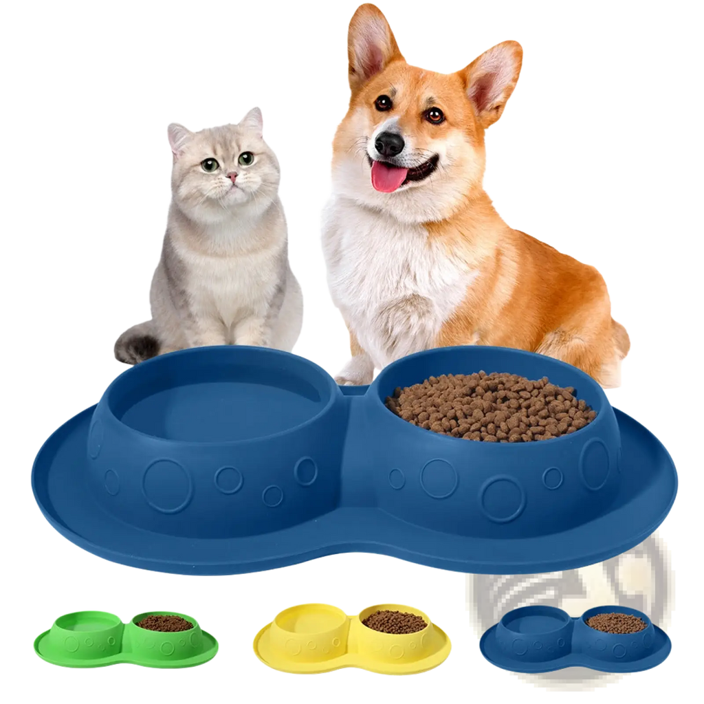 Blue silicone pet feeder with two compartments one filled with dry kibble part of silicone pet food and water bowl mat set