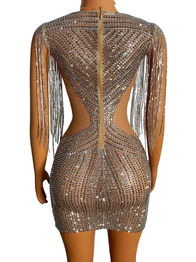 Silver rhinestone fringe party dress mini dress with shimmering sequins back zipper and long fringe detailing shown from back