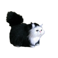 A plush black and white simulation cat plush with fluffy fur pink nose and detailed eyes soft stuffed animal toy