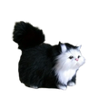 A plush black and white simulation cat plush with fluffy tail and soft synthetic fur realistic kitten toy