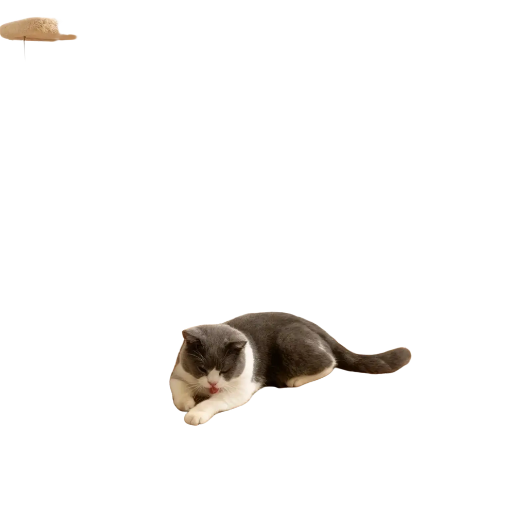 Beige sisal cat scratch pad with textured woven surface and rounded edges for cat furniture protection