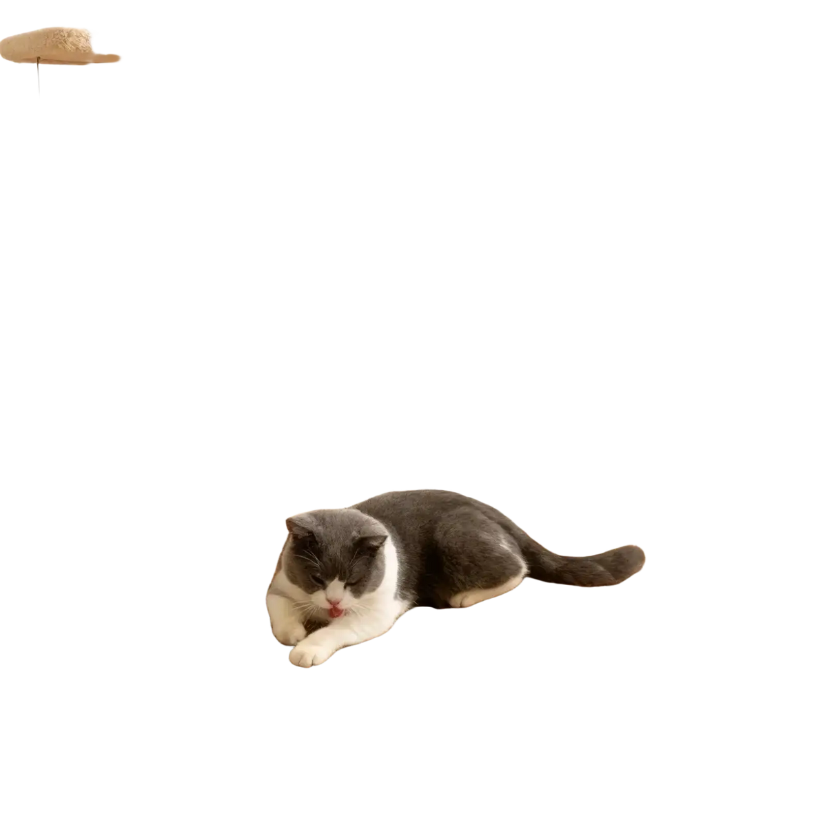 Beige sisal cat scratch pad with textured woven surface and rounded edges for cat furniture protection