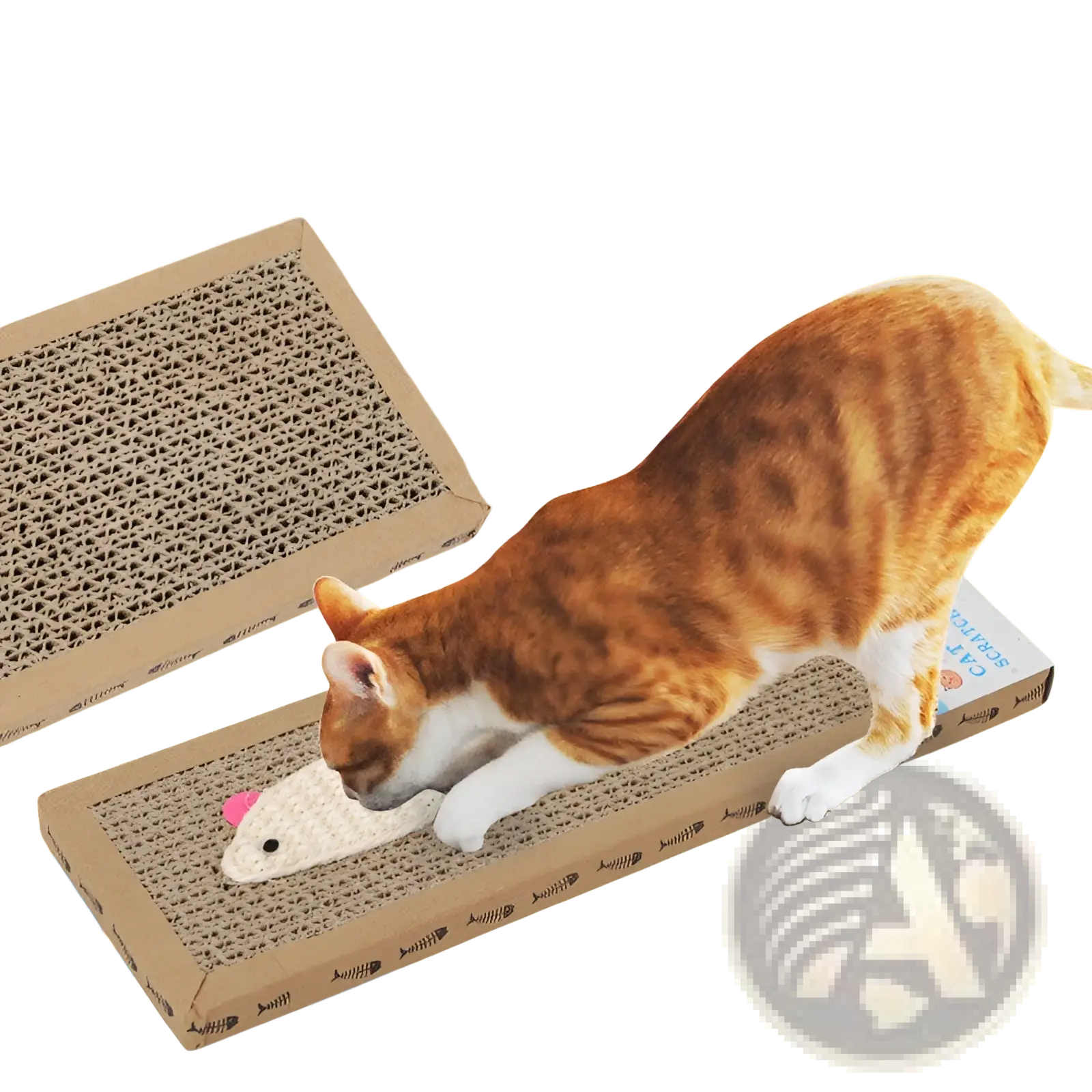 Brown tabby cat with white paws and chest engaging with a sisal cat scratching board with plush mouse toys and fish motifs