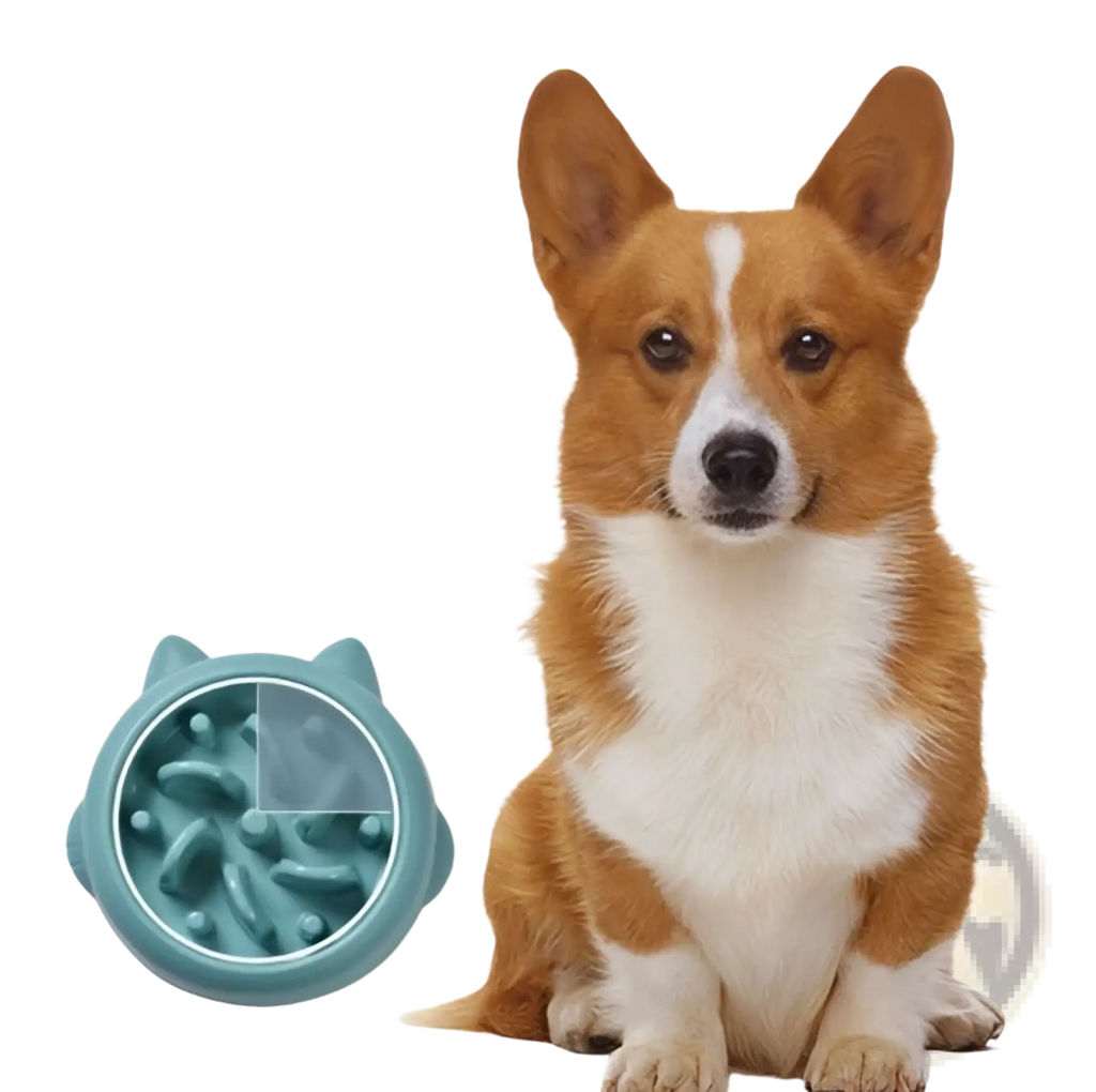 Teal cat-shaped slow feeder dog bowl made of silicone with raised textured ridges for anti gulping feeding