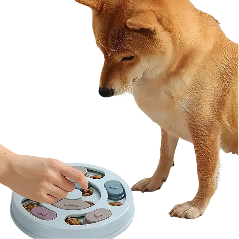 Light blue circular slow feeder dog bowl with multicolored puzzle sections for interactive educational feeding