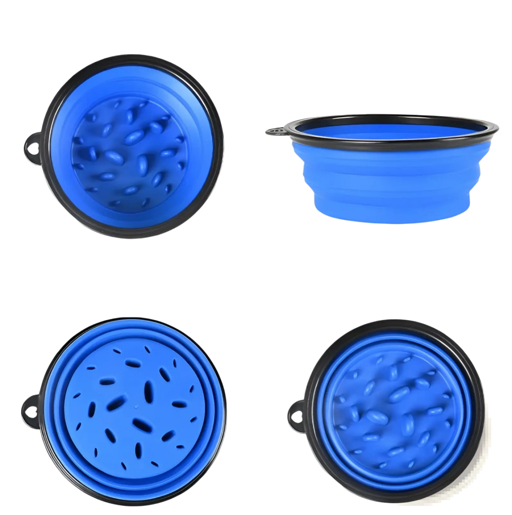 Blue collapsible silicone slow food pet bowl with black rim and textured interior surfaces for easy feeding