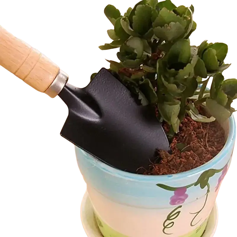 Small gardening tools set metal wood garden shovel black metal trowel with light wood handle in ceramic pot soil