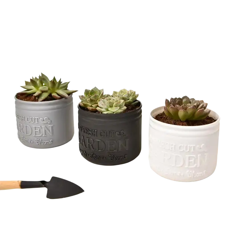 Three small size ceramic planter pots in gray black and white with embossed fresh cut garden text for succulents