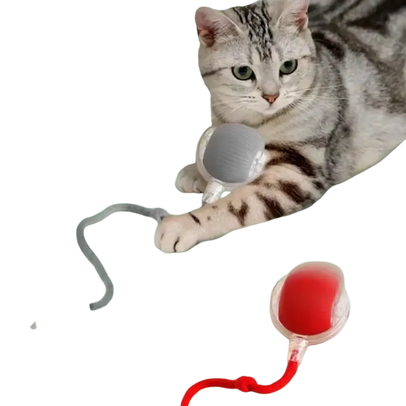 Gray and red smart ball interactive automatic rolling pet toy with speed adjustment and indicator light stays features