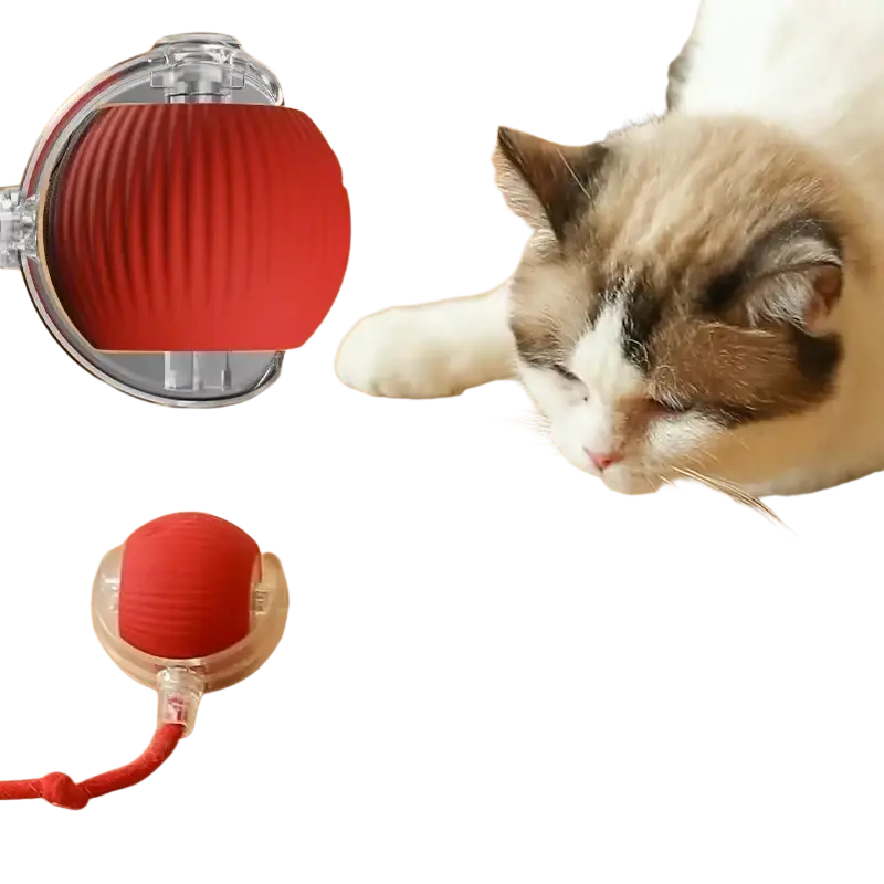Red ribbed silicone smart ball with transparent housing and red cord featuring indicator light stays for pet play