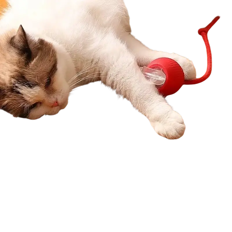 Red spherical smart ball pet toy with clear plastic parts and red cord featuring indicator light stays for interactive play