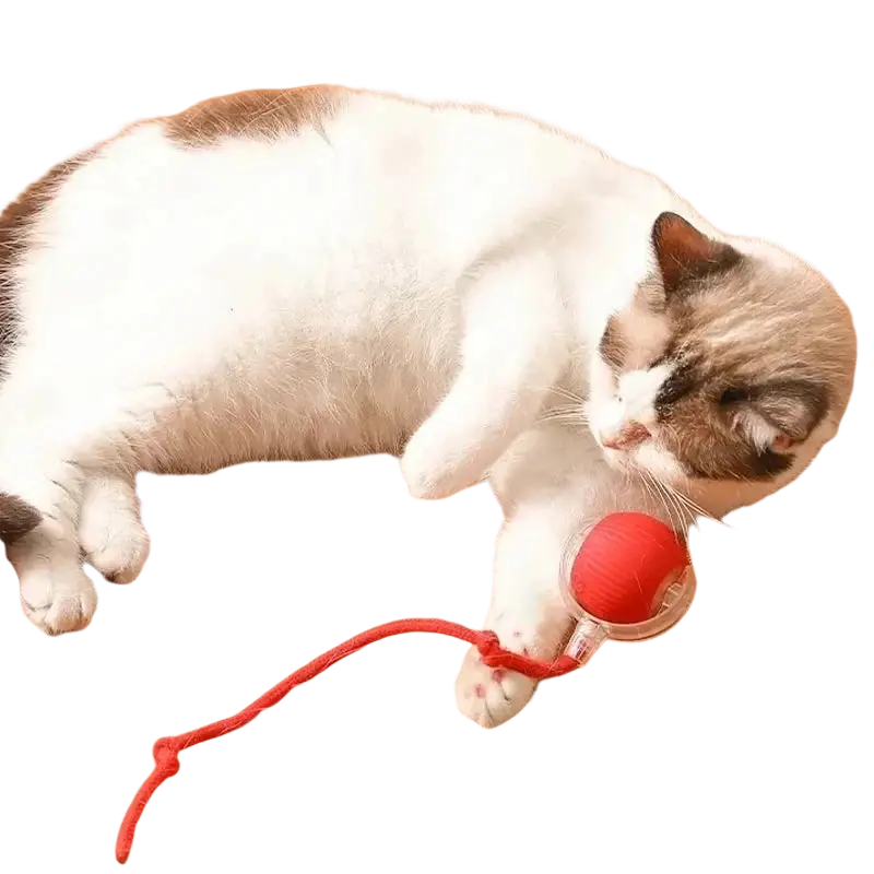 Smart ball interactive automatic rolling pet toy with red spherical design, clear plastic base, and indicator light stays