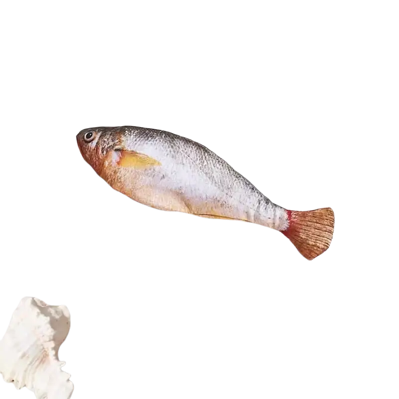 Smart electric interactive fish cat toy plush with yellow croaker design silver orange scales and red fins for fun electric interaction