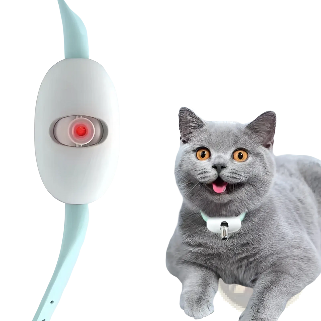 Smart laser cat collar with white oval usb trainer, red light indicator, and mint green adjustable strap