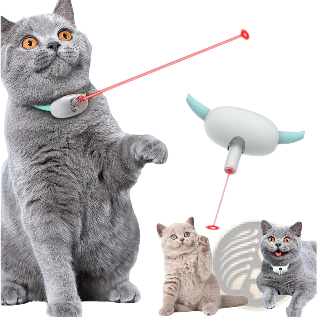 Gray British Shorthair cat wearing a teal smart laser cat collar interactive USB training toy holding a red laser pointer device