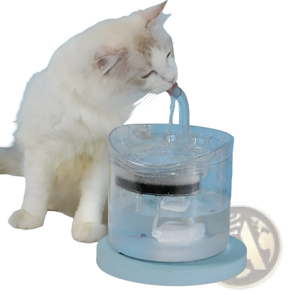 Smart pet water fountain 1.8l clear plastic with black filter and light blue base for pet hydration