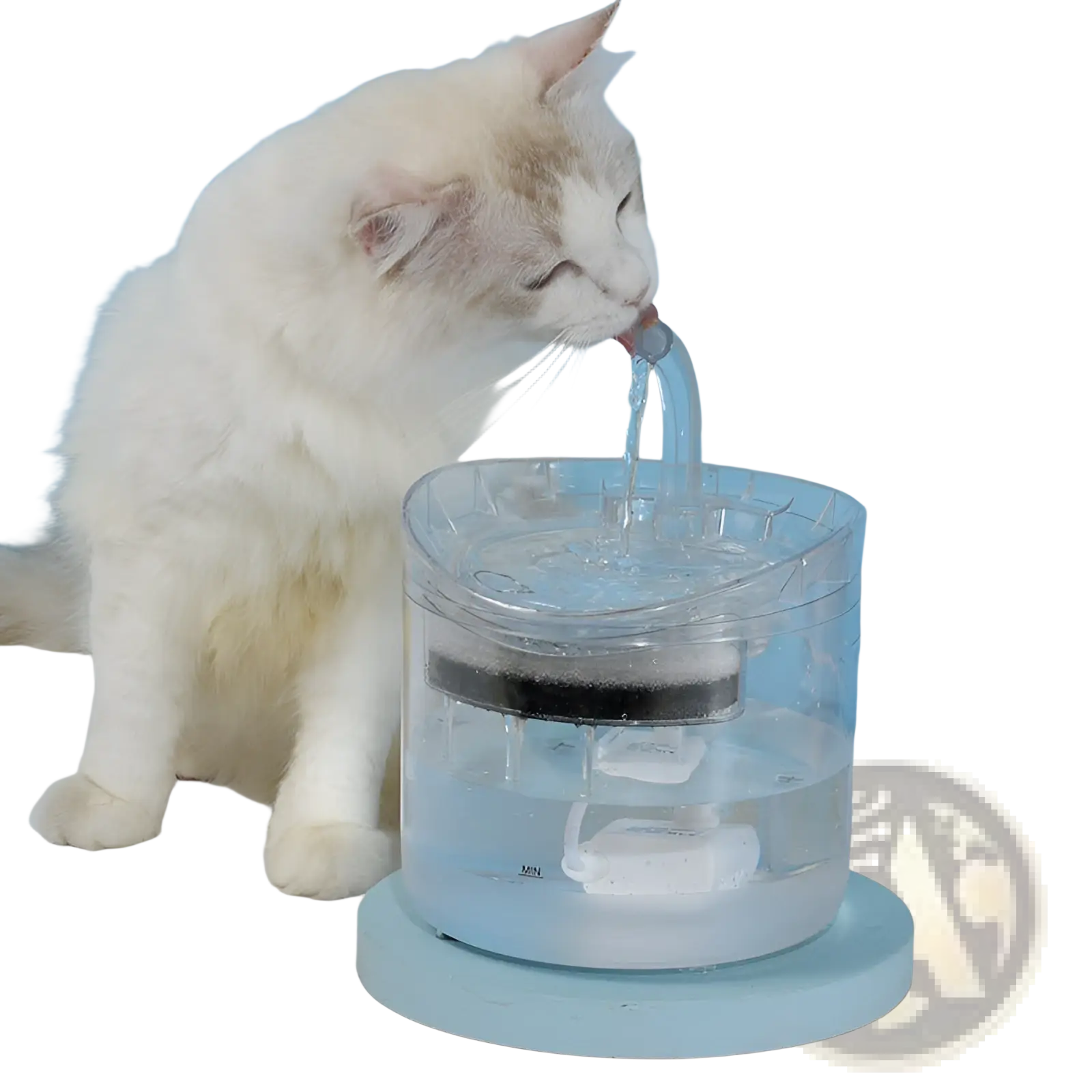 Smart pet water fountain 1.8l clear plastic with black filter and light blue base for pet hydration