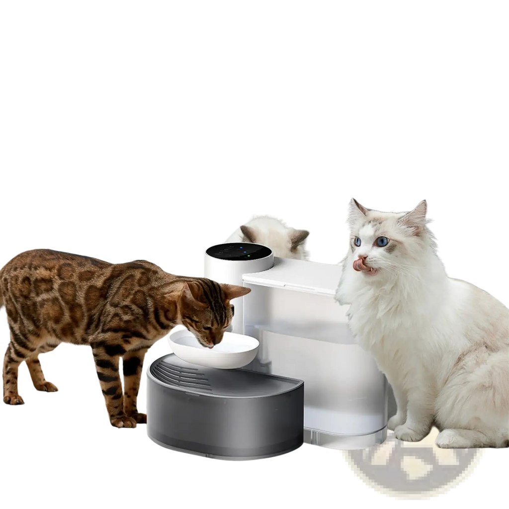 Modern two-tiered smart pet water fountain with sleek white and gray design and automated fresh water dispenser