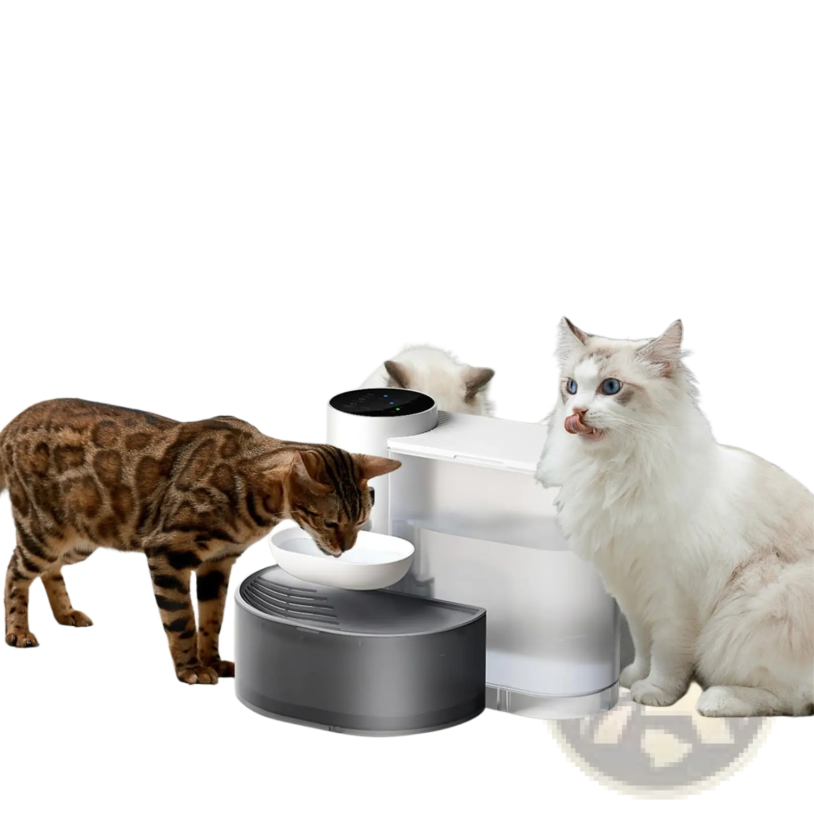Modern two-tiered smart pet water fountain with sleek white and gray design and automated fresh water dispenser