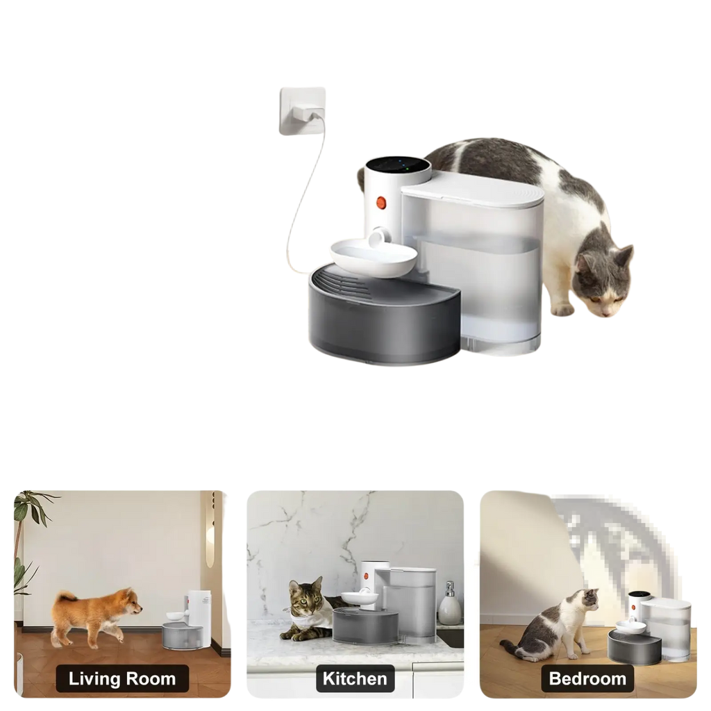 White and gray rechargeable cordless smart pet water fountain with 3l capacity and type-c charging port shown from the back