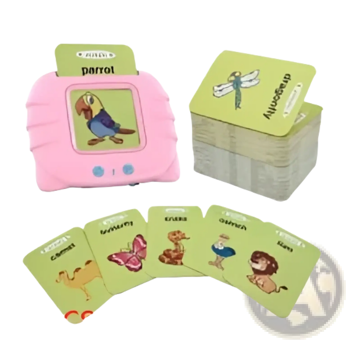 Pink plastic smart talking flash cards toy with parrot illustration blue buttons and green animal educational cards