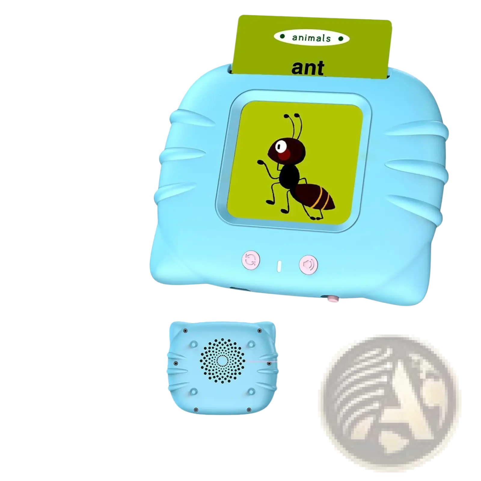 Light blue plastic smart talking flash card with screen showing an ant labeled animals for early education use