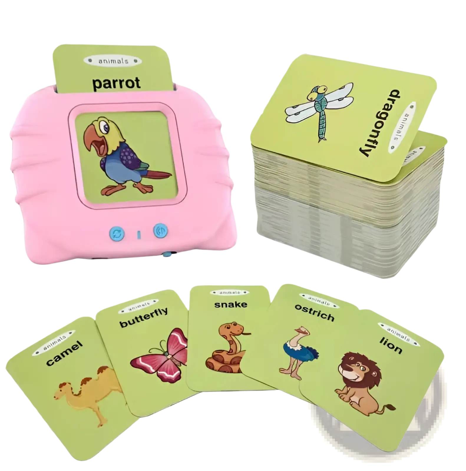 Pink plastic smart talking flash cards early education toy with screen displaying colorful parrot and two blue buttons