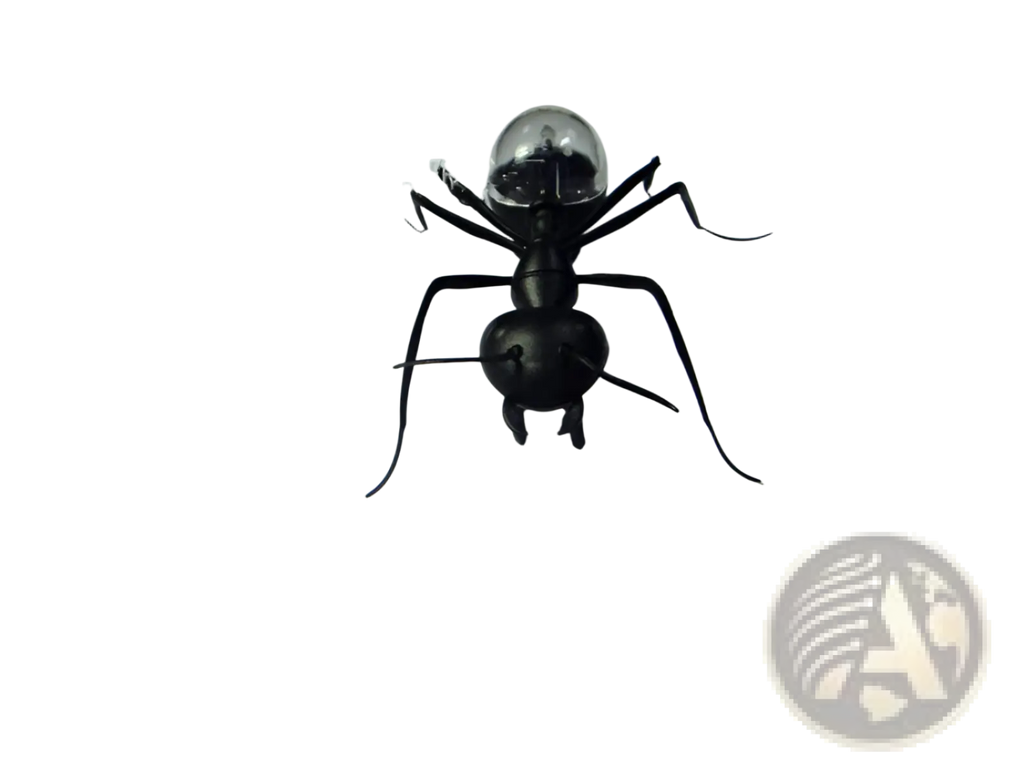 Black ant-shaped solar electronic robot toy for kids with a transparent spherical head measuring 93mm
