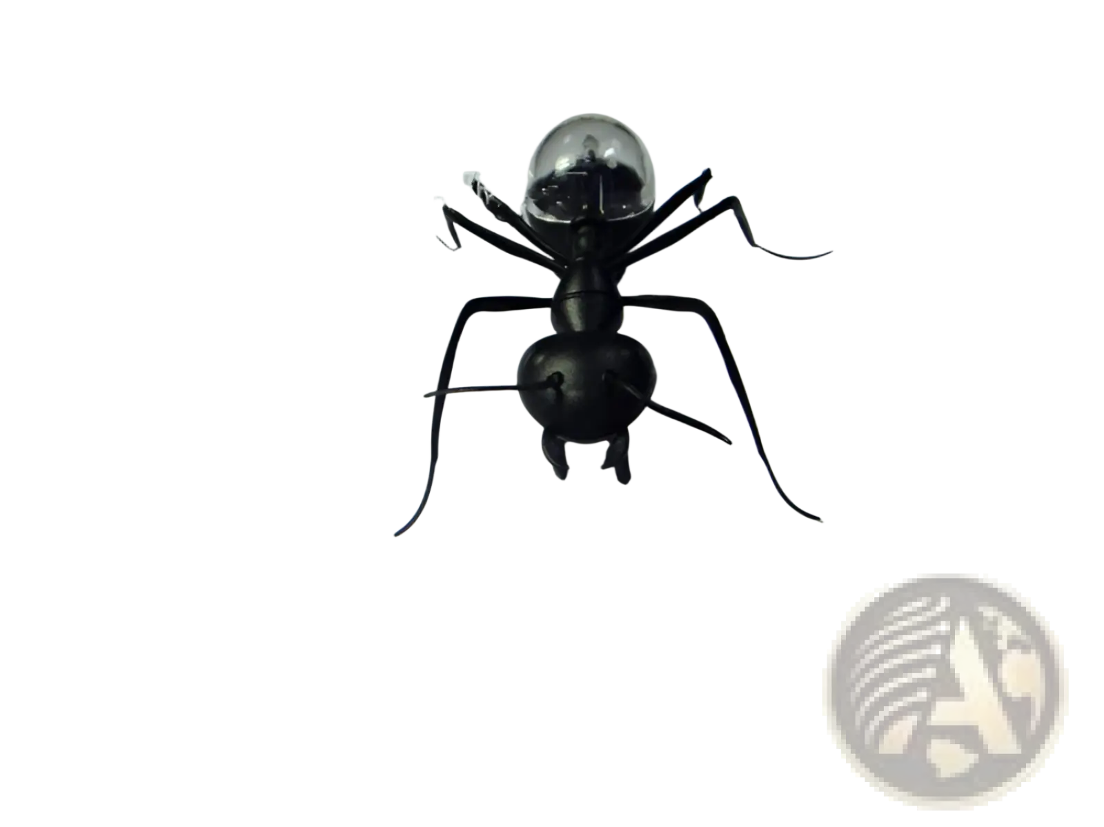 Black ant-shaped solar electronic robot toy for kids with a transparent spherical head measuring 93mm