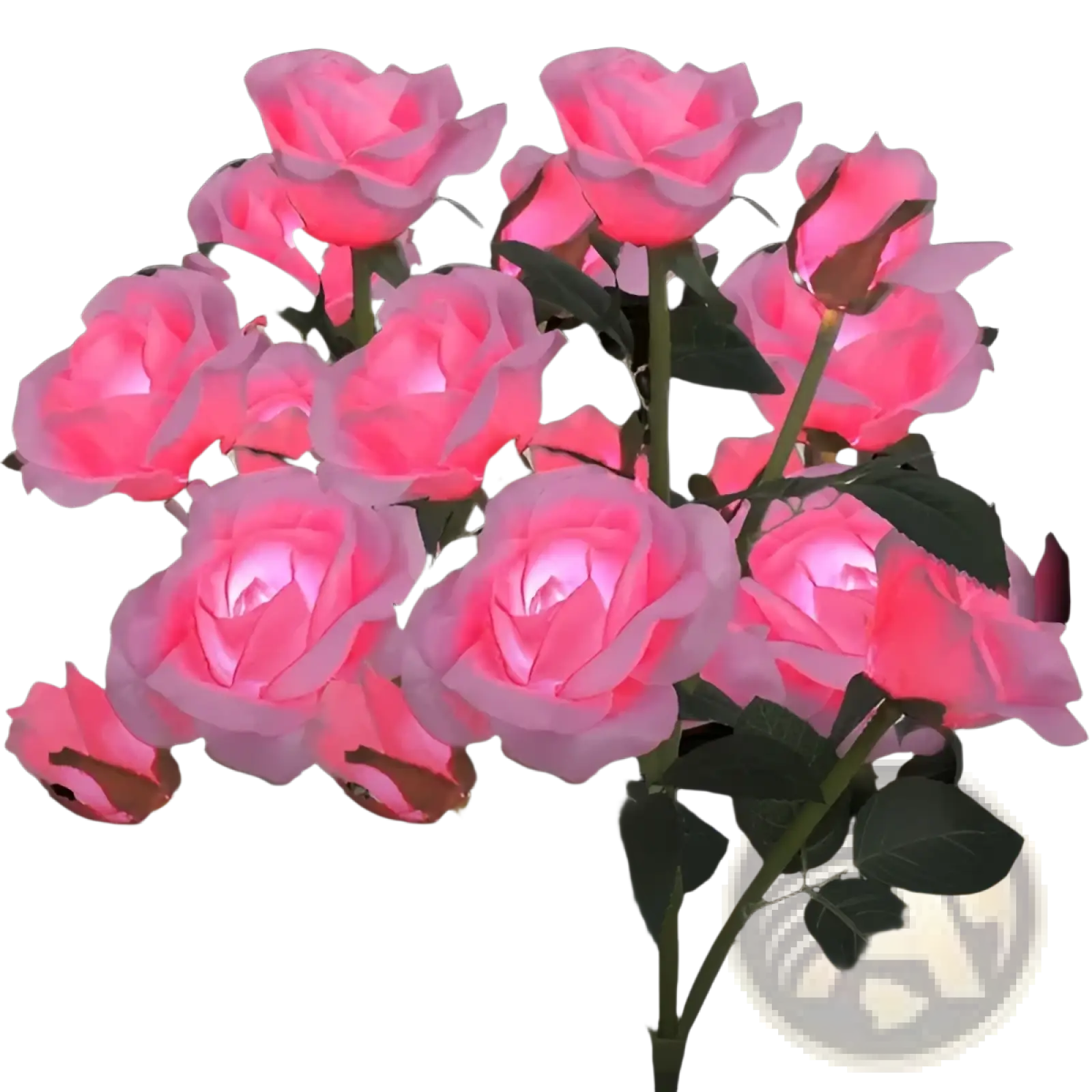 A cluster of pink led solar rose lights with glowing petals and green leaves garden stakes 2 pack