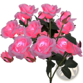 A cluster of glowing pink led roses with dark green leaves designed as solar color changing garden stakes in a 2 pack