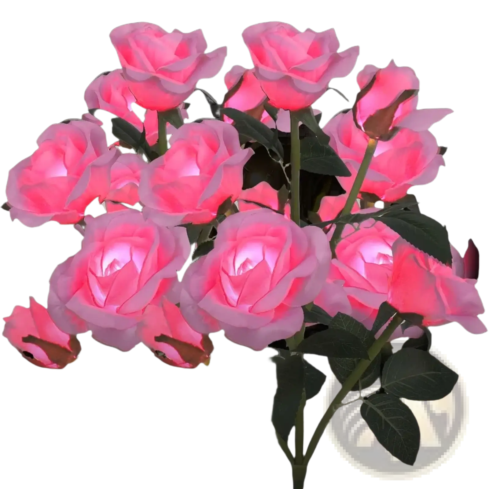 A cluster of glowing pink led roses with dark green leaves designed as solar color changing garden stakes in a 2 pack