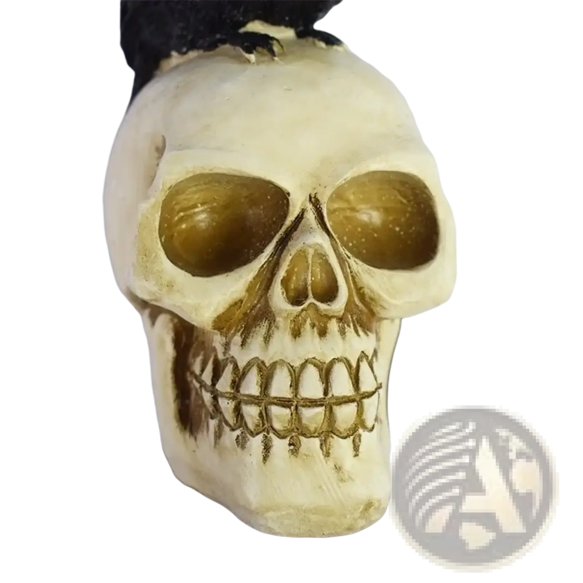 Solar skull crow garden stake Halloween light with detailed off-white plastic skull brown eye sockets and black wig